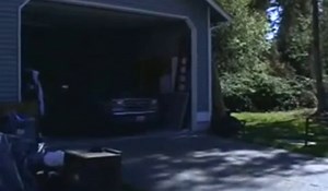 three busty babes are kidnapped and made into slaves