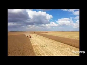 Corn harvest 2020, Montividiu, GO, Brazil