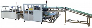 [Hot Item] Automatic Plastic Bag Carton Filling Packing Machine