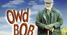 Owd Bob, un perro maravilloso (1998)  - Ver Película Completa en Español - FULLTV