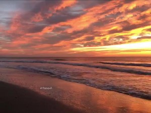 Sunrise 🎥 Tranquil | Destinations PH