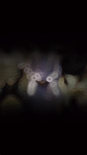 Mohammed Sanusi on TikTok