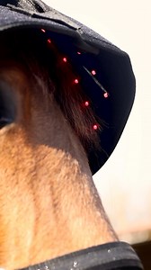 Exclusivité West Cheval 🤩 La thérapie par lumière rouge LED de @horseware arrive dans vos écuries ! 🚨 Ce dispositif est doté de deux longueurs d’onde : 👉 Lumière rouge : stimule en surface 👉 Lumière infrarouge : pénètre plus en profondeur Quantités ultra-limitées, encore disponibles en cloche, bonnet, protège-jarrets et lampe sans fil ⚠️ Optez pour un confort maximal de votre cheval. ✨ Alors, qui veut tester ? 🤭 #westcheval #led #lumiererouge #infrarouge #therapie #horse #equestrian #equest