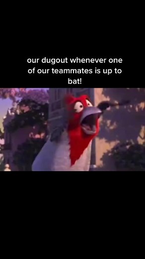 wvhs.softball on TikTok