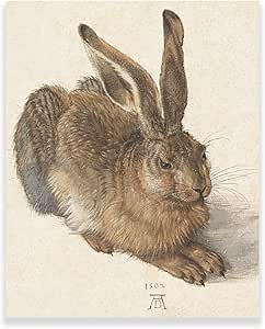 Albrecht Durer Wall Art - Young Hare Print - Renaissance Art Prints - Fine Art Oil Paintings - Rabbit Animal Canvas Poster for Bedroom Unframed (8x10inches/20x25cm)