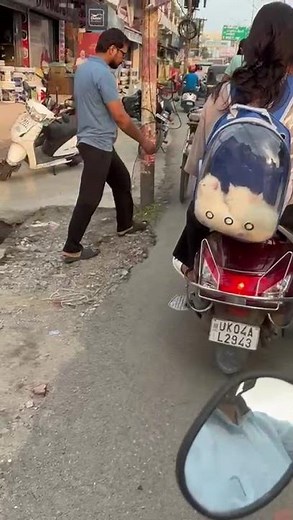 #cutepersiankittens #catlovers | cat on drive #pussy #pussycat #kittenslovers