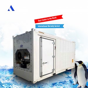 [Hot Item] 20FT Dual Temperature Refrigerated Reefer Container 20 Feet