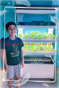 [Hot Item] Home and Office Hydroponics Plant Grow Box Systems