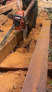 120K views · 2.4K reactions | #chainsaw #husqvarna | Angelo M P | Facebook