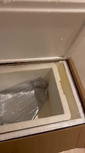 Here are how we are going to ship fish in winter | Pleco Ceramics