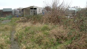 1K views · 18 reactions | Allotment update. Current state: Building site | ITV Tyne Tees & Border Weather | Facebook