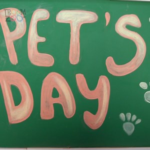 8K views · 74 reactions | We Saved Homeless Tiny Kitten! | Troom Troom | Facebook