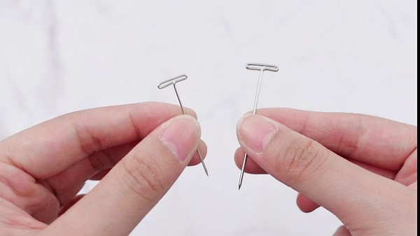 Amazon.com: Tigeen 330 Pcs Science Dissection T Pins Stainless Steel Insect Pins, 38 mm and 51 mm Science Pins with Storage Containers for Entomology, Dissection, Butterfly Collections and Lab Use, 110 Pcs/Box : Industrial & Scientific