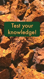 Put your mycological knowledge to the test! See if you can identify the correct Latin binomial for Chaga before the time runs out. #chaga #latinbinomials #mycology #mushtok #mushroomquiz | Fungi Perfecti