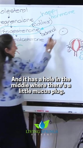 Learn about the shocking transformation of the cervix during ovulation, designed to facilitate sperm travel. #FemaleAnatomy #CervixExplained #HealthEducation #BarbaraONeill #livingspringsretreat About our channel Living Springs Retreat is your ultimate destination for achieving holistic wellness and embracing natural health principles. Join us on this transformative journey as we dive deep into the secrets of the body and learn how to nurture it back to a state of optimal well-being. Through our