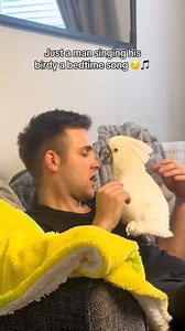 40K views · 1.9K reactions | When the bird gets a sweet melody before bed and all I get is farts in bed 沈藍 #cockatoo #mansbestfriend #bedtimeroutine #bedtime #adorableanimals #sweetvideo #parrotsoftiktok | Charlie Junior The Cockatoo | Facebook