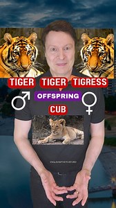 Do you know these words? male, female animal names 🇺🇸🇬🇧 #ingles #anglais #vocabulario #englishteachersofinstagram #english #trendingreels #words #vocabulary #expressions #phrases #learnenglish #speakenglish #ielts #ieltspreparation #speaking #practice #englishlesson #englishclass #englishonline #englishteacher #englishtips | English with Steve Ford