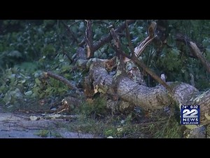 22News Reporter Hector Molina in Tolland