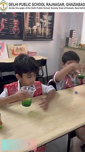 Prep2-A unlocking the mystery of liquid layers with our multi-layered flask experiment! | Delhi Public School Raj Nagar (DPS RajNagar)