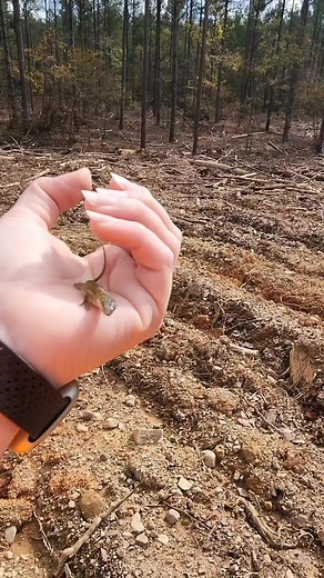 I didn't wanna scare him by getting my phone too close but look 😍 | Wanderlust & Arkansas Dust