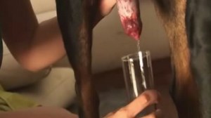 Stray-X - Dog and Denim(ZooSkool).mpg