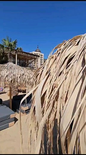TORTUGA BEACH CLUB ЗЛАТНИ ПЯСЪЦИ | ХАЙЛАЙФ