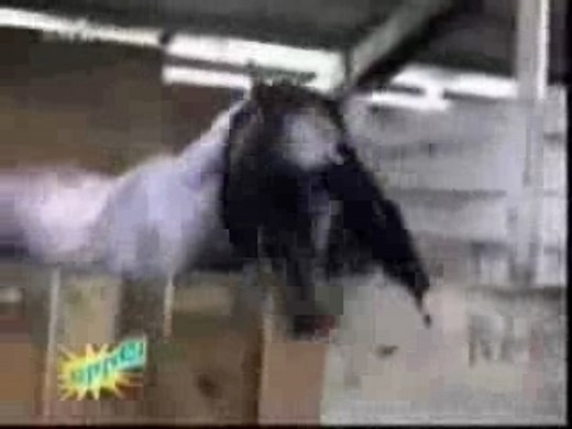 Really Funny Homemade Bloopers