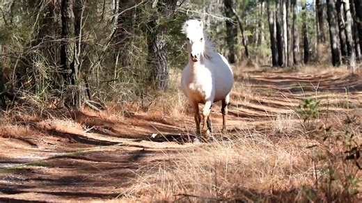 Mayli | DSC Photography