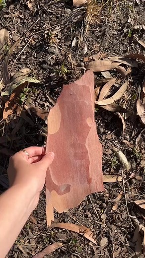 Imagine a bunch of these pieces together!! #upcycled #acrylicpainting #cottagecore #diyearrings #homedecor #trinkets #couplecomedy #dollartreediy #amazonfinds #upcycling #earringslovers #dollartree #MeTime #halloweendecor #polymerclay | Hayden Baker