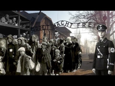 Exploring Auschwitz: A Guided Tour Through it's Dark History