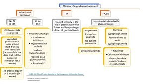 Adult Minimal Change Disease: KDIGO 2021 Clinical Practice Guideline for the Management of Glomerular Diseases