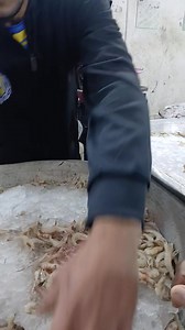 29K views · 469 reactions | شخرم 18.5 عايز فريش؟ تعال القيصر.. السمك...