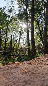 #scene from "Big Ash" #standup #log #skidder #action #prentice #follow #usareels | Boys In The Woods