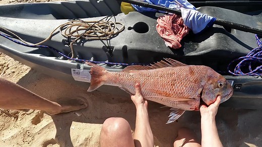 Mandurah_fisho on TikTok