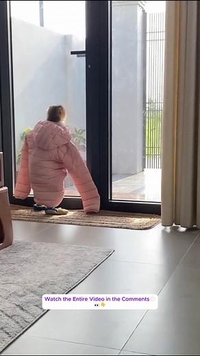 Monkey Lyly misinterpreted that her mother had purchased her a new shirt, and the fact was startling...#monkeyLala #Monkeykaka #Cubismonkey #expore #trending #monkeyBibi #monkeyCUTIS | Monkey Ly Ly