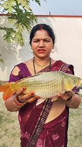 Golden Fish Curry Recipe | Vicky Singh