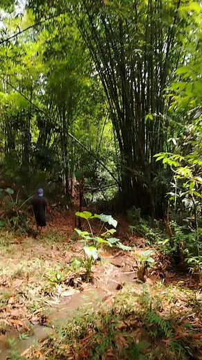 Support Local Farmers #organicfarm #farmlife #agribusiness #organicfarming #supportlocalfarmers | Tasty Green - Spot