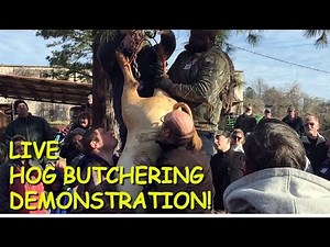 Annual Hog Butchering Demonstration at the Old South Farm Museum
