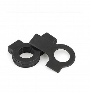 [Hot Item] Stainless Steels DIN463 Tab Washers with Long Tab and Wing