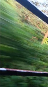 islamic information about this💗💗♥️♥️🫶ℹ️❤️💕