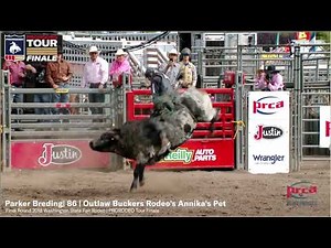 Parker Breding | 2018 PRORODEO Tour Bull Riding Champion