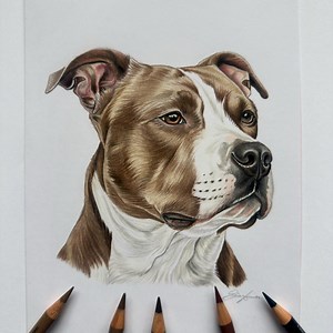 Pitbull Portrait | Realistic Colored Pencil Dog Drawing | 19cmx14.7cm | Hand-drawn Pet Art - Etsy UK