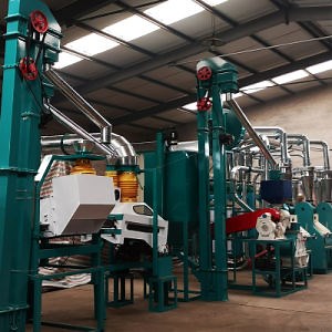 [Hot Item] 15-30ton Complete Production Line Maize Flour Milling Plant