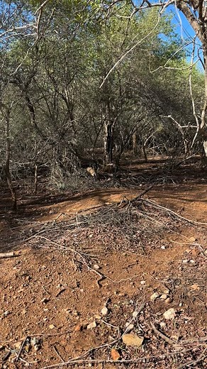 #HackingTheTravelCode #DimeciaDiaries #TravelHack and a good lesson #Ubuntu is respecting that as humans we all be respectful. Don’t be scared to try create experiencesZ sometimes we need to just keep moving. When designing your playbook leave room to@keep@trying and learn to be grateful x it’s in these moments the universe meets you halfway xxx | Vanessa Perumal