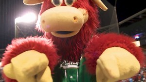 5.8K views · 99 reactions | The Storm is Here ⚡ | Lancaster Stormers | Facebook