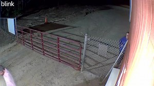 1.9K views | Fayetteville Motor Speedway on Reels | Facebook