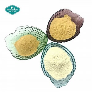 [Hot Item] Nutrifirst Wholesale Pure Luo Han Guo Concentrated Extract Powder Fructus Monordicae Monkfruit Powder in Bulk