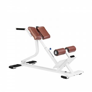 [Hot Item] Commercial Exercise Strength Equipment Roman Chair