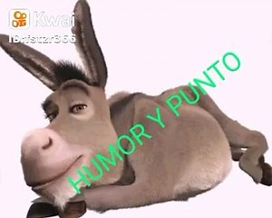 3.6K views · 36 reactions | Humor | La Web del Conductor | Facebook