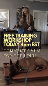 1.6K views · 41 reactions | What should your day with your dog look...